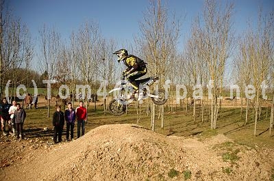 pitbike (11)